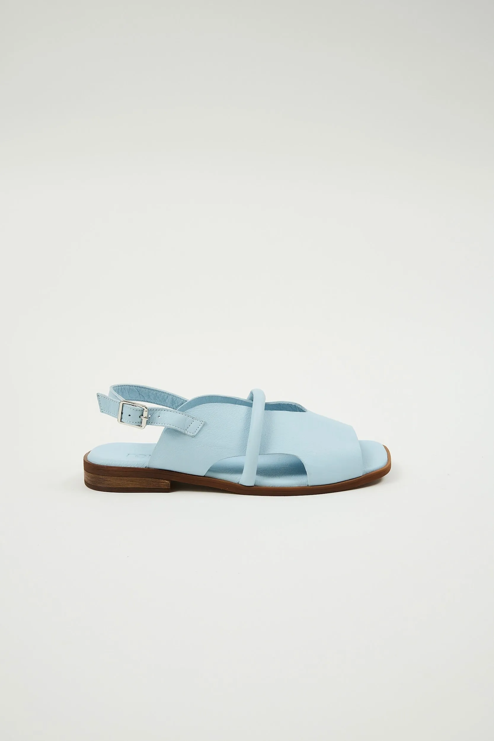 Bergen Blue